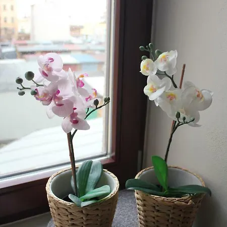 Kavi #2 Apartament *